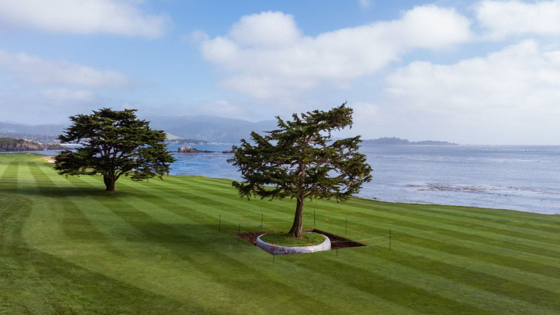 Pebble Beach replante un cyprès emblématique sur le fairway du 18, disparu lors d'une tempête en 2014, pour restaurer l'identité visuelle de son trou légendaire.