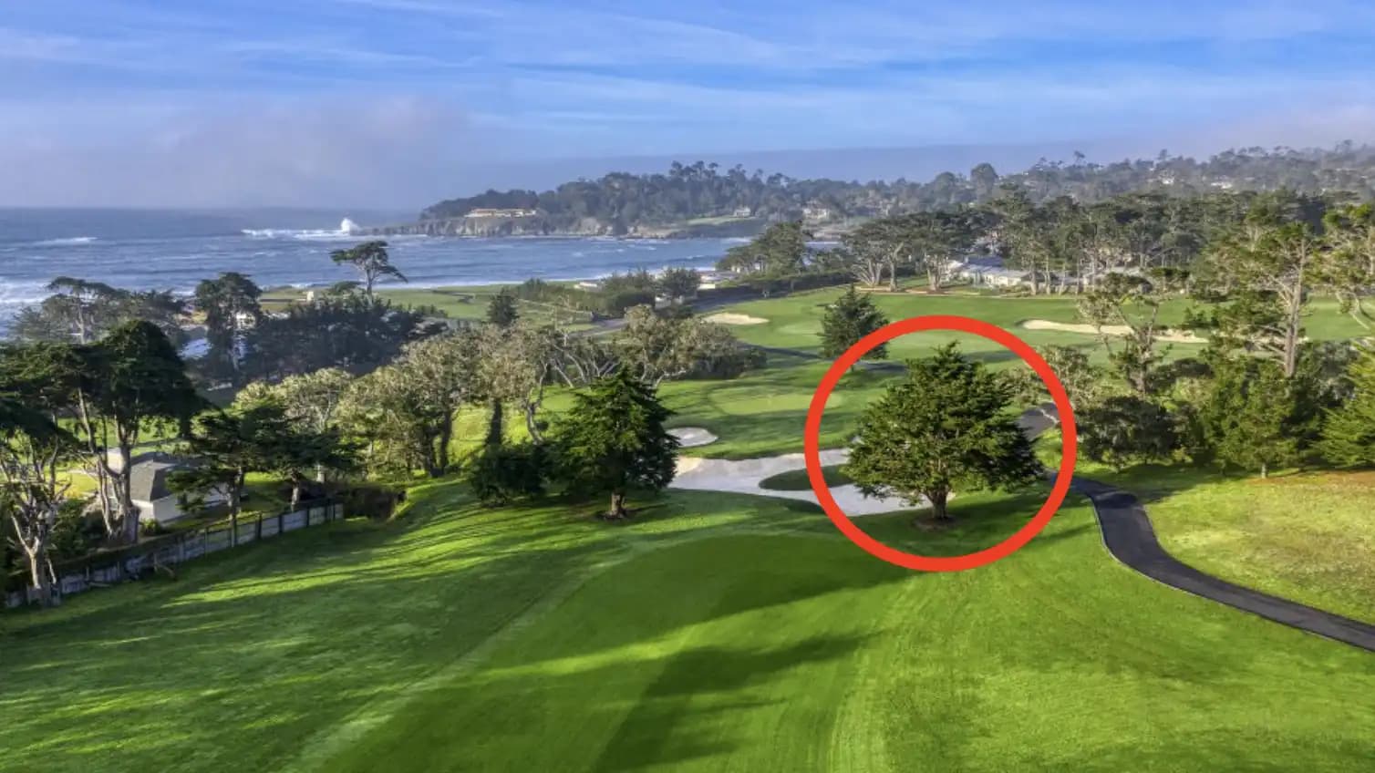 L'arbre du 16 était condamné, pas sacrifié : Pebble Beach s'explique
