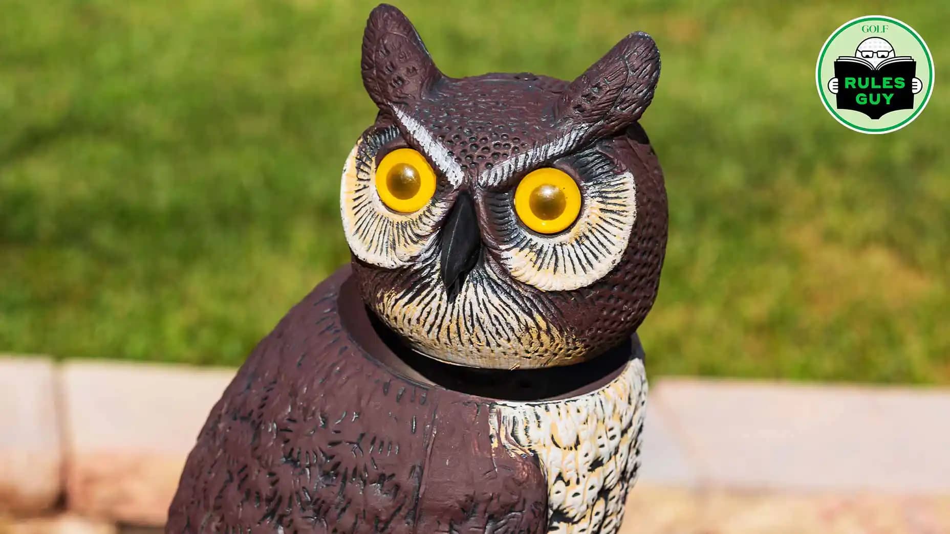 Pas de dégagement gratuit quand la balle percute un faux oiseau